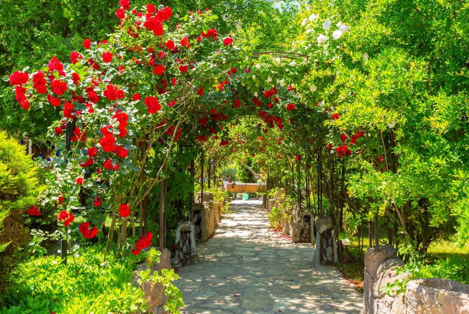 Villa Asli Paradise Muğla 0*,  Turcja